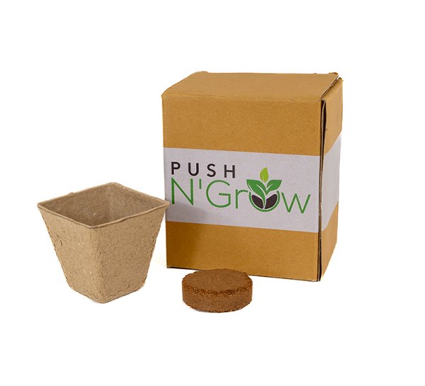 Push N’ Grow Starter Kit, 5 Pack (seeds not included)