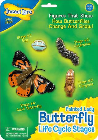 Butterfly Life Cycle Stages Figurines