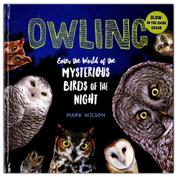 Owling: Enter the World of the Mysterious Birds of the Night