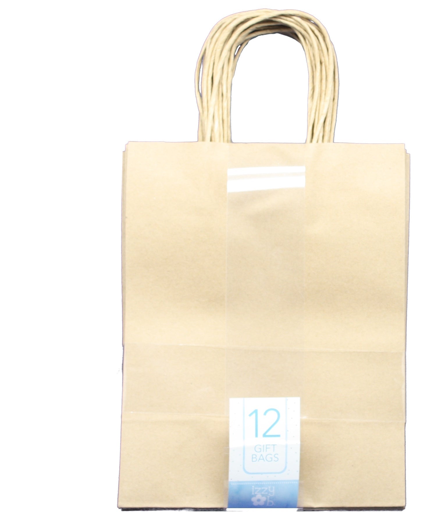 Medium Kraft Brown Gift Bag Set of 12