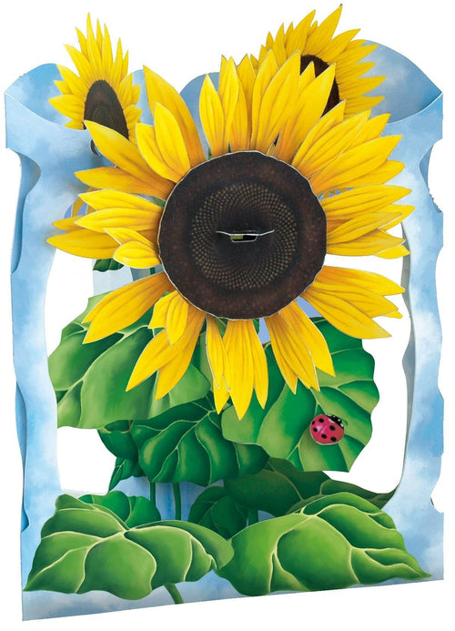 Sunflower – Swing Card