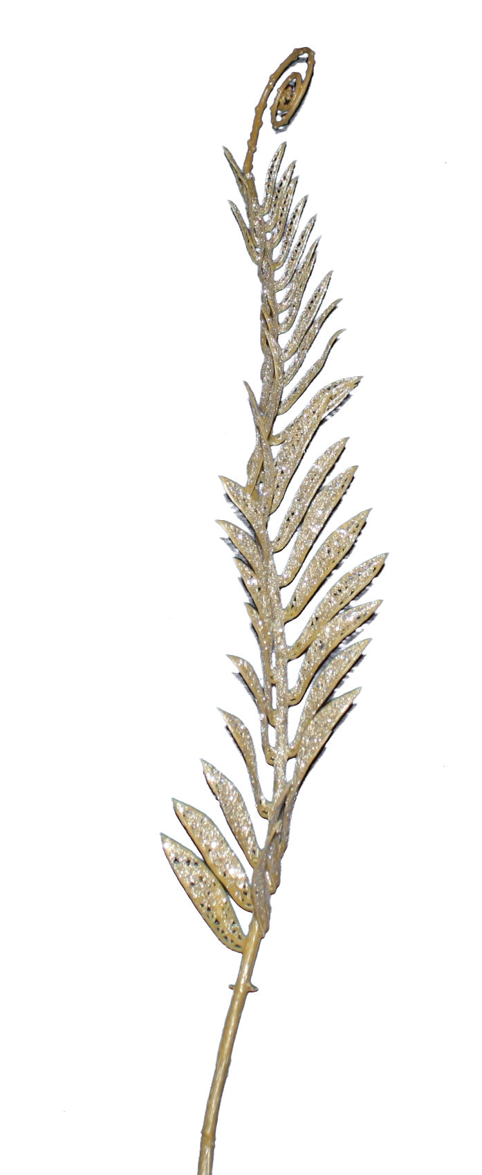 Gold Leaf Frond